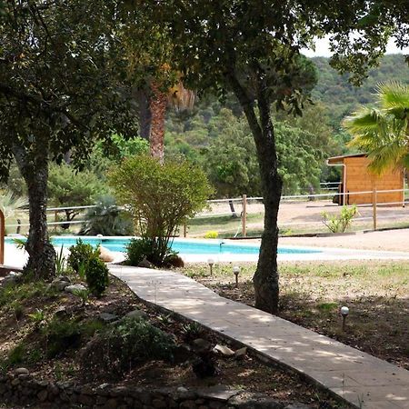 Villa Villekulla Dependance Avec Spa Privatif Le Plan-de-la-Tour Екстериор снимка