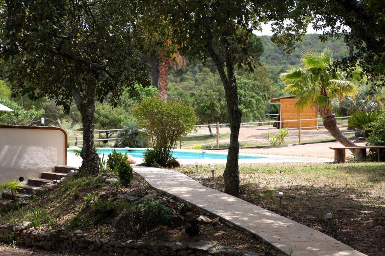 Villa Villekulla Dependance Avec Spa Privatif Le Plan-de-la-Tour Екстериор снимка